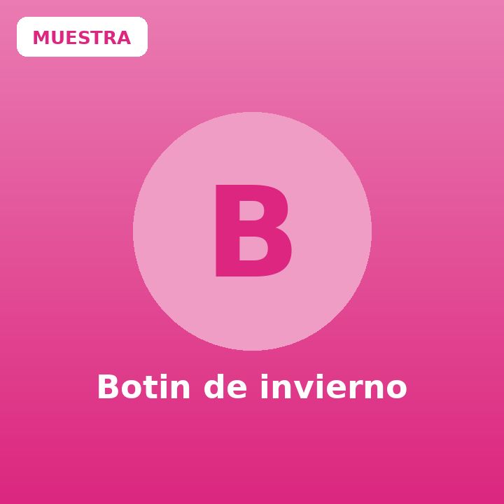Botin de invierno