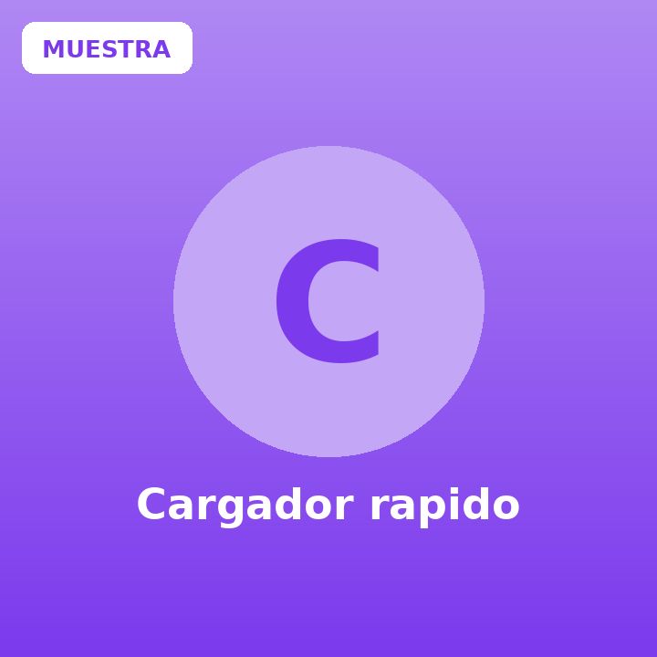 Cargador rapido